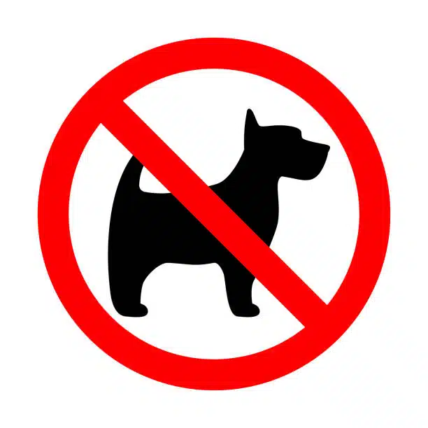 no dogs allowed